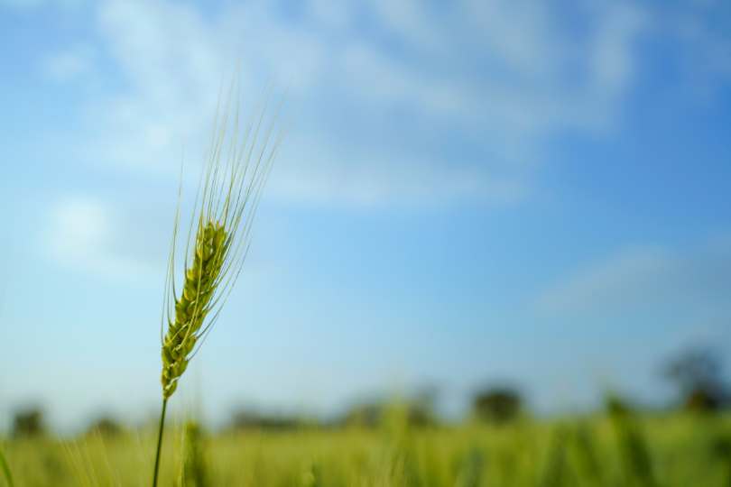 Best places to visit in Koderma, Jharkhand