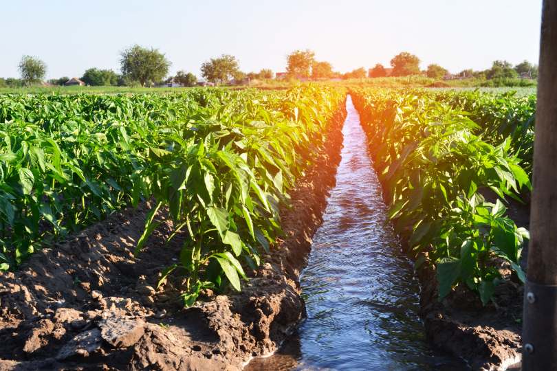 Best places to visit in Lohardaga, Jharkhand