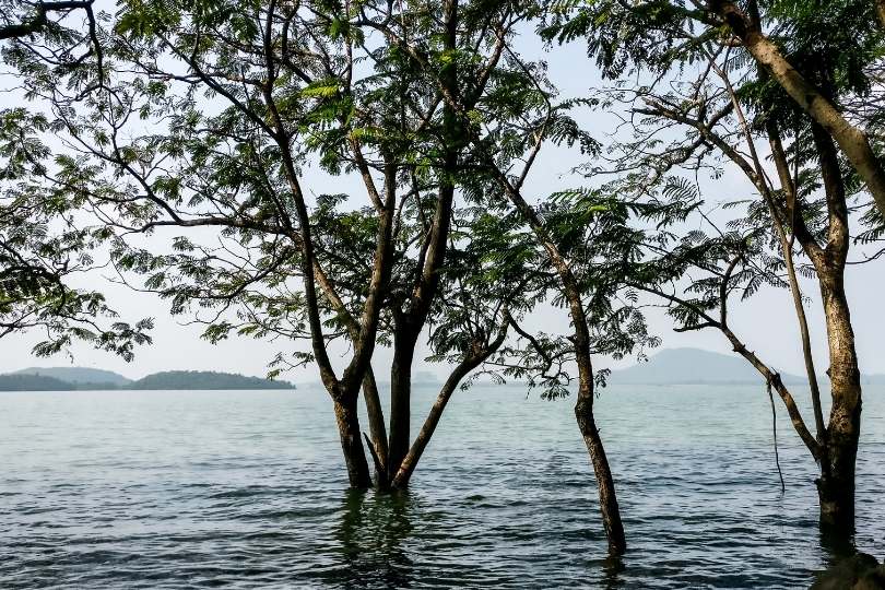 Best places to visit in Hassan, Karnataka