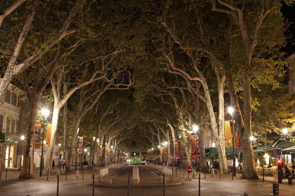 Cours Mirabeau Fountains