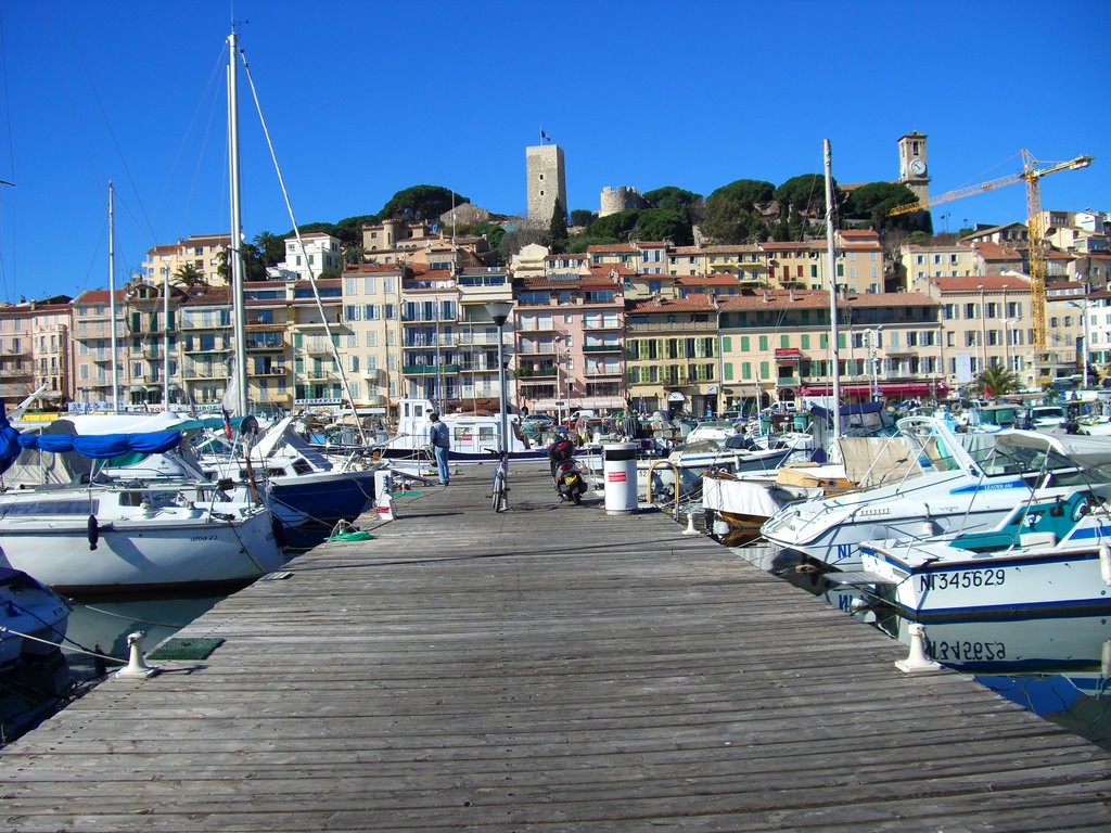 Port de Cannes