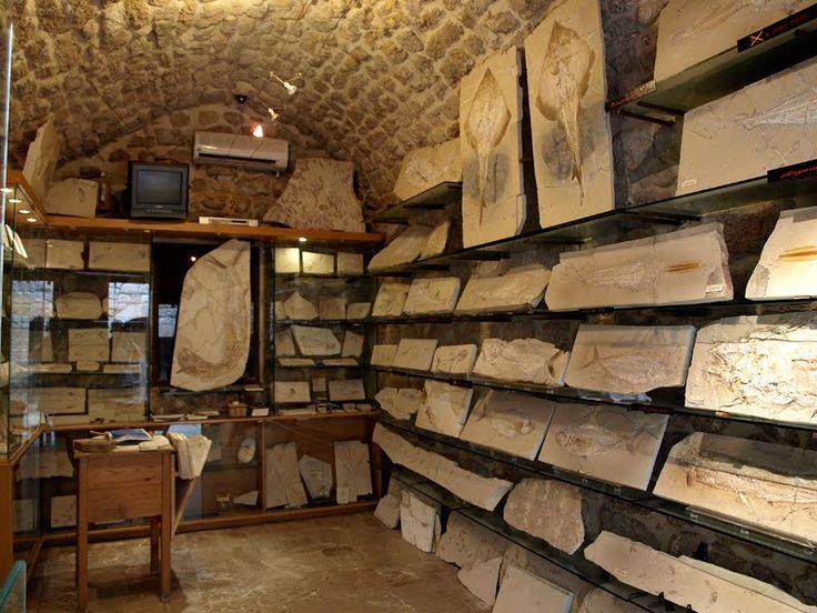 Byblos Fossil Museum