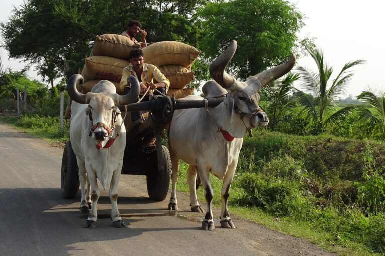 10 Best Places to Visit in Botad