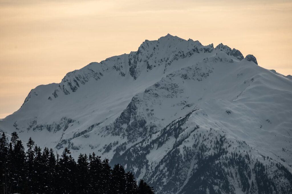 pexels-photo-11589785-11589785.jpg
