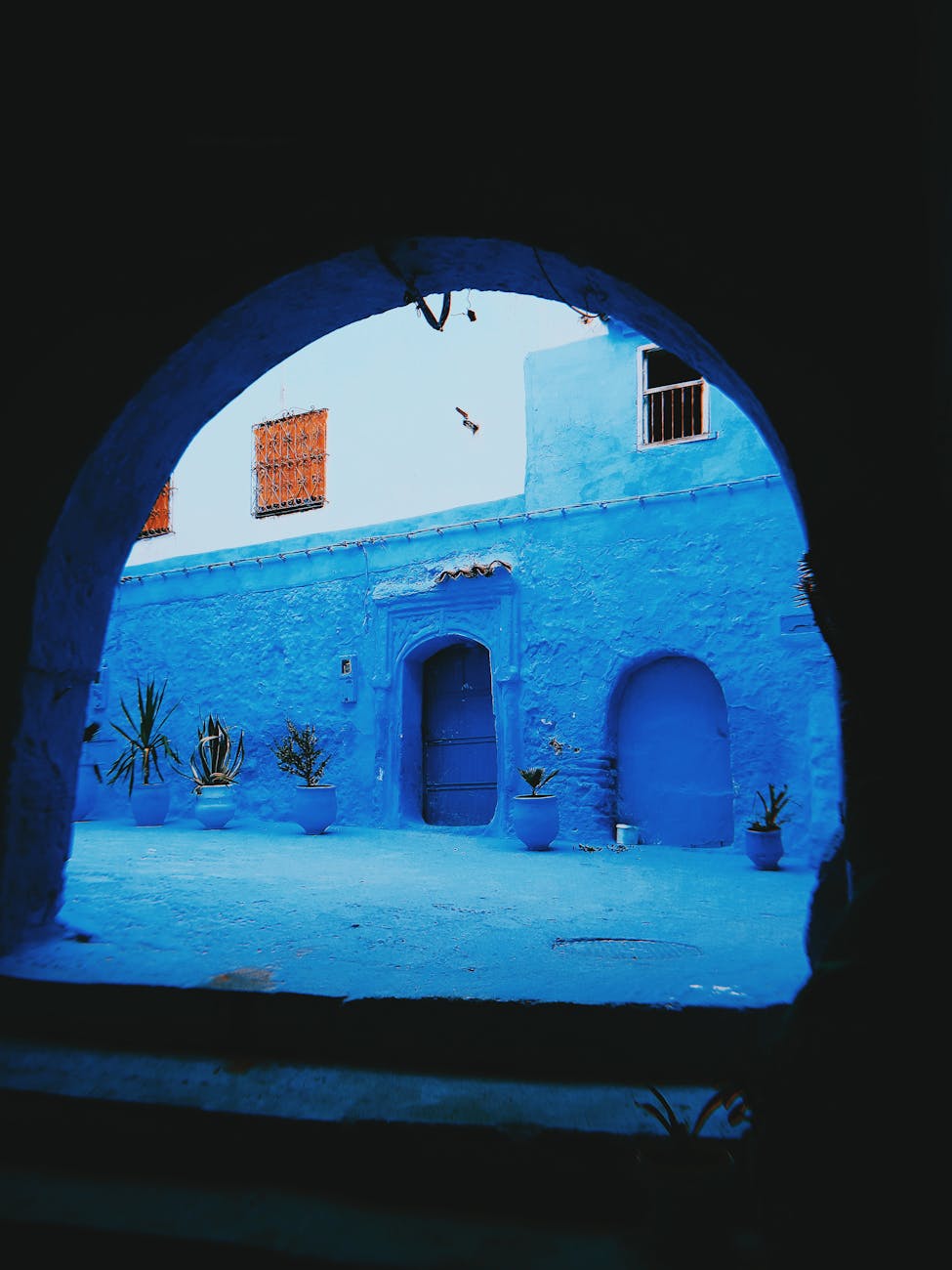 blue and white wall with flower pots outside