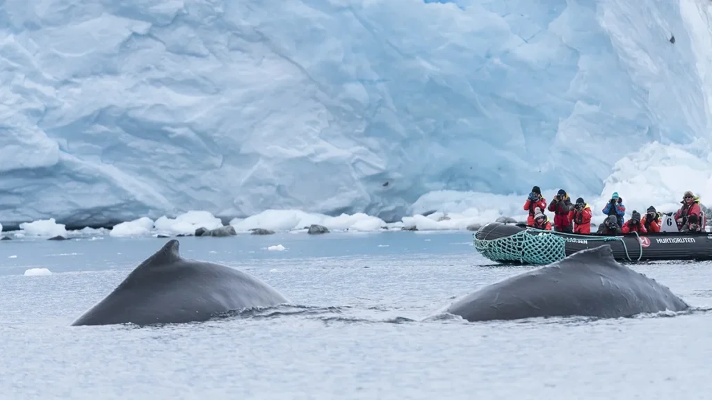 Paradise Bay: Antarctica’s Icy Haven