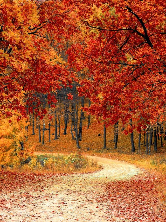 Best Places to Visit in October for Fall Foliage