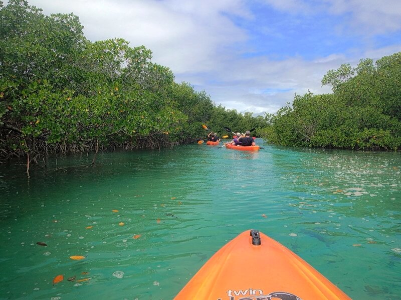 Mangrove National Park