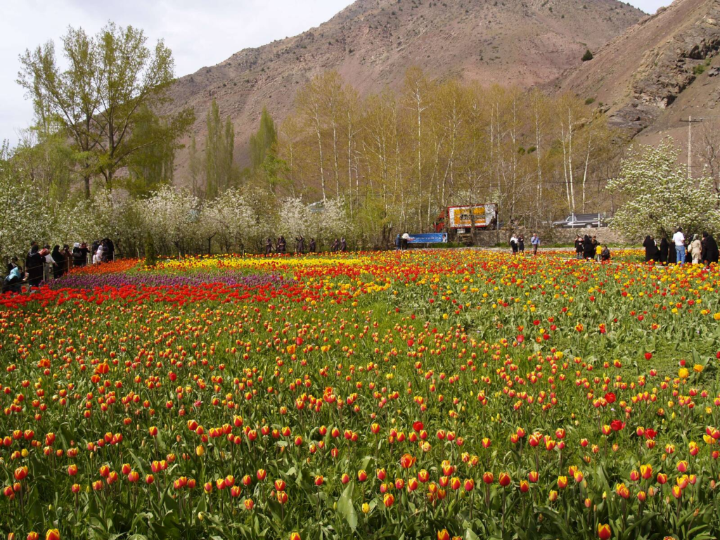 Gachsar Flower Garden
